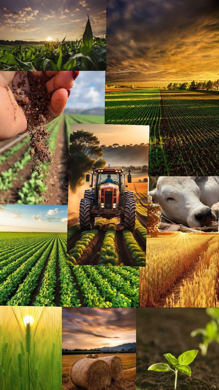 Plant protection collage